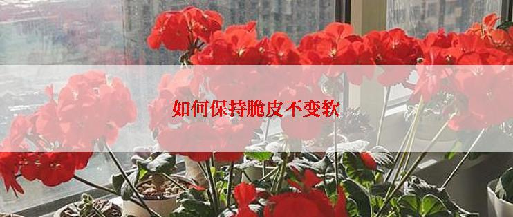 如何保持脆皮不变软