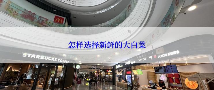怎样选择新鲜的大白菜
