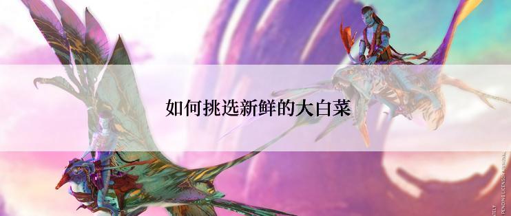  如何挑选新鲜的大白菜