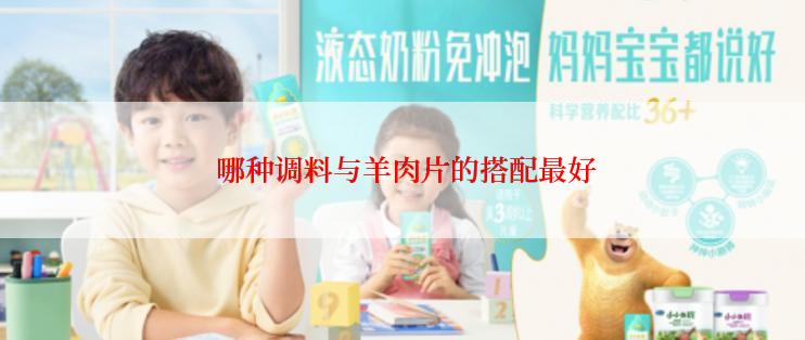  哪种调料与羊肉片的搭配最好