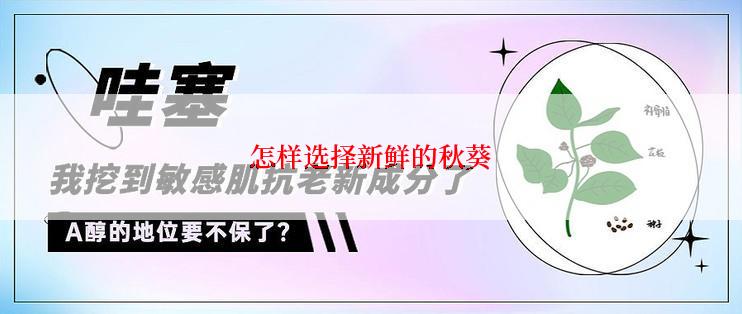 怎样选择新鲜的秋葵