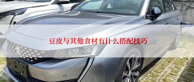  豆皮与其他食材有什么搭配技巧