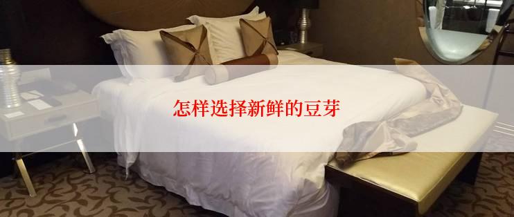 怎样选择新鲜的豆芽