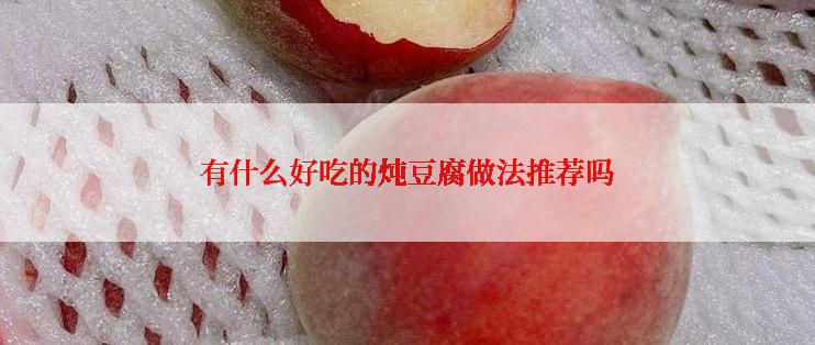 有什么好吃的炖豆腐做法推荐吗