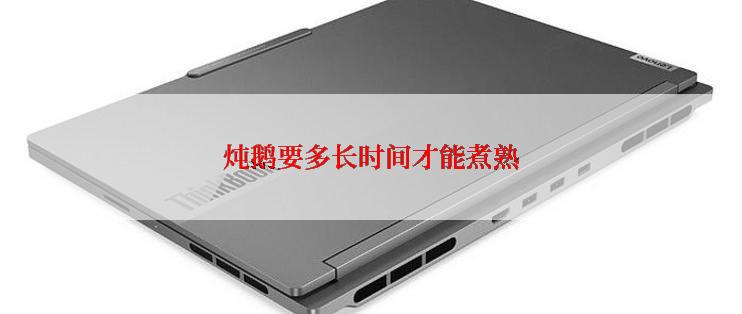 炖鹅要多长时间才能煮熟