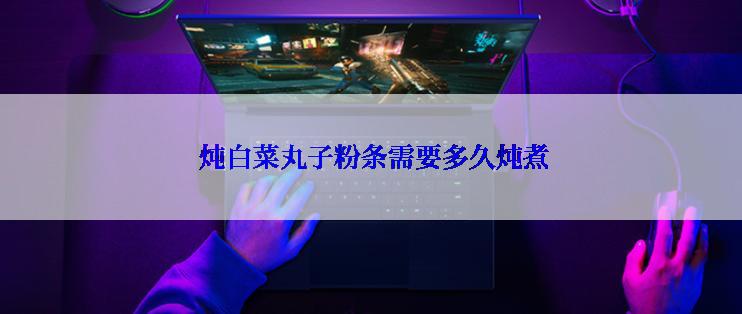  炖白菜丸子粉条需要多久炖煮