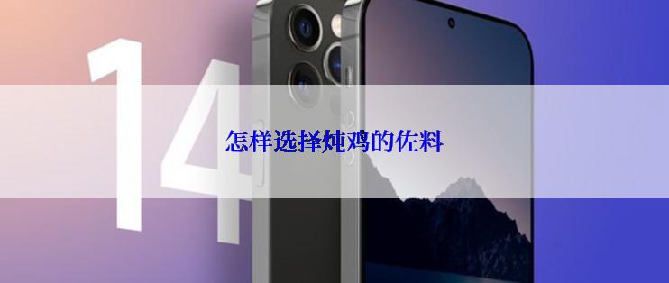 怎样选择炖鸡的佐料