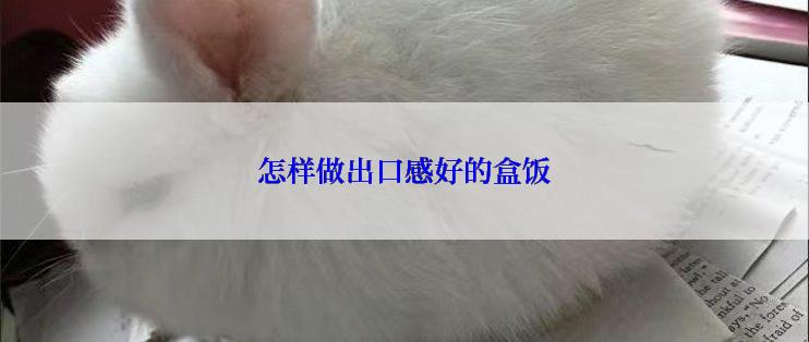 怎样做出口感好的盒饭