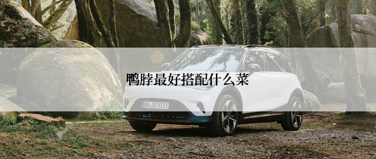 鸭脖最好搭配什么菜