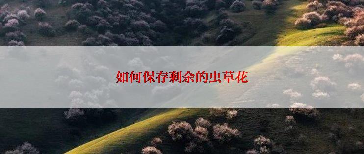 如何保存剩余的虫草花