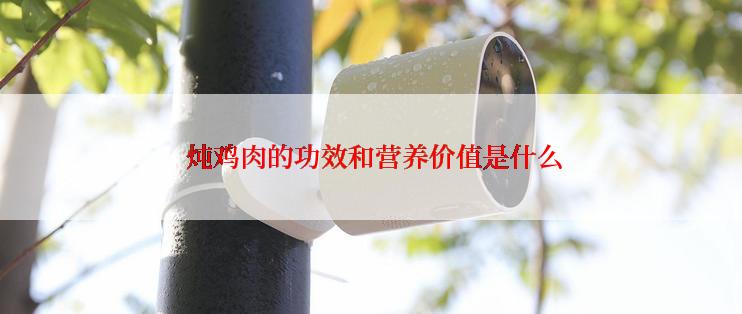  炖鸡肉的功效和营养价值是什么