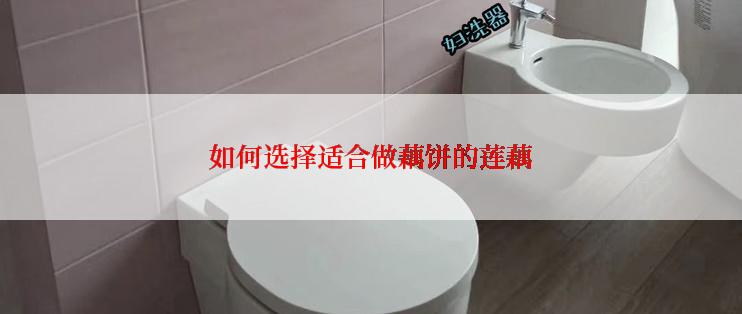 如何选择适合做藕饼的莲藕