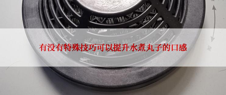 有没有特殊技巧可以提升水煮丸子的口感