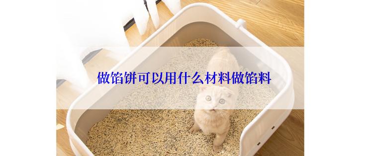 做馅饼可以用什么材料做馅料