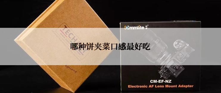 哪种饼夹菜口感最好吃