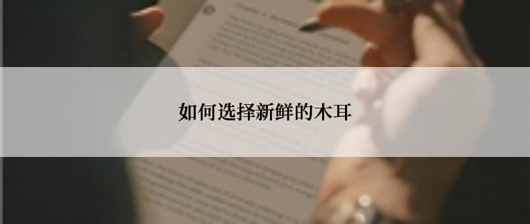 如何选择新鲜的木耳
