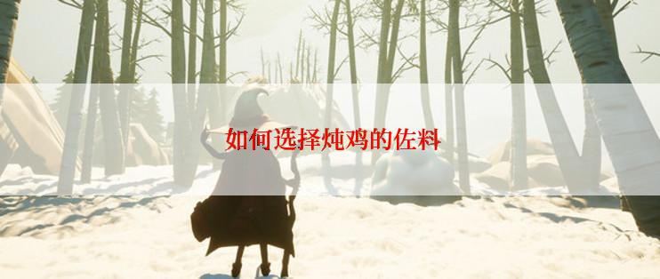  如何选择炖鸡的佐料
