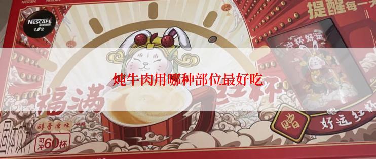 炖牛肉用哪种部位最好吃