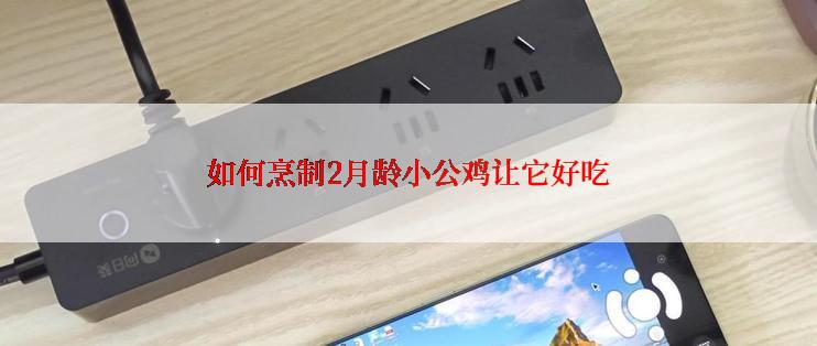 如何烹制2月龄小公鸡让它好吃