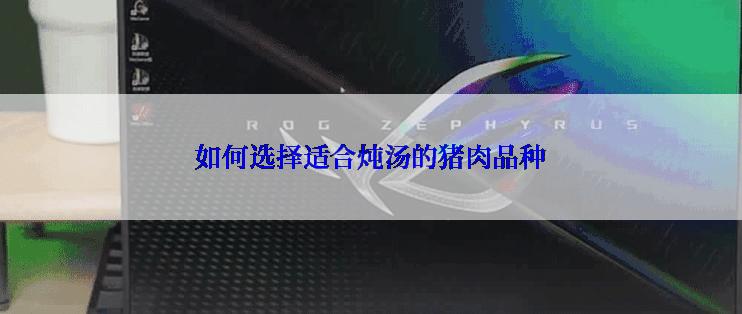 如何选择适合炖汤的猪肉品种