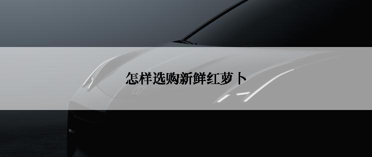 怎样选购新鲜红萝卜