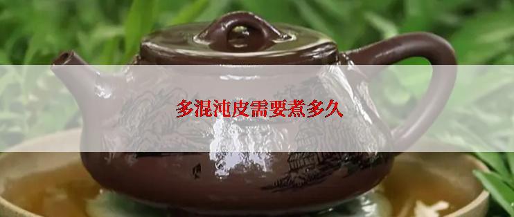  多混沌皮需要煮多久