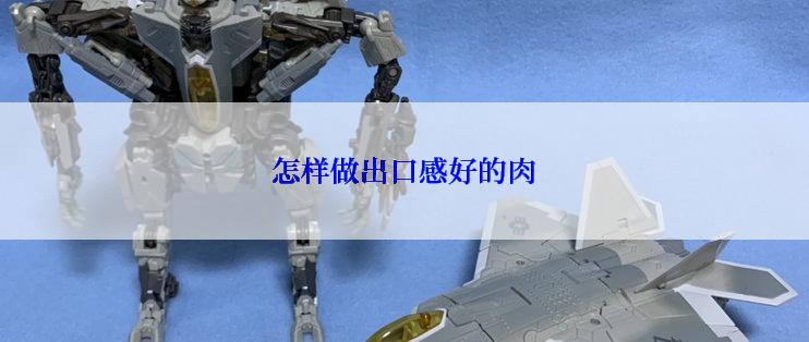 怎样做出口感好的肉