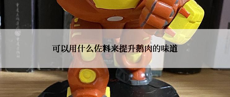 可以用什么佐料来提升鹅肉的味道