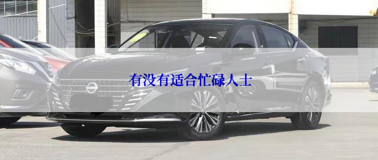  有没有适合忙碌人士