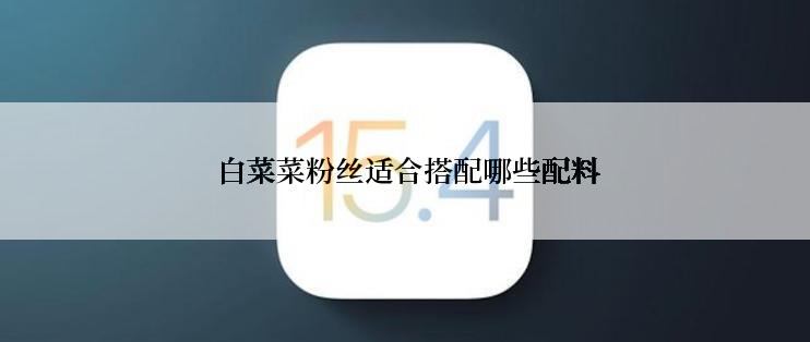 白菜菜粉丝适合搭配哪些配料