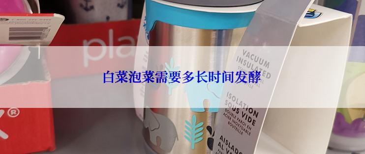 白菜泡菜需要多长时间发酵