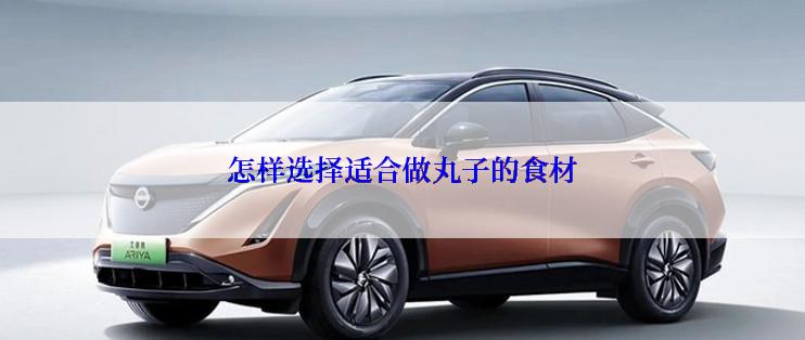 怎样选择适合做丸子的食材