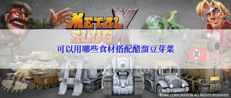 可以用哪些食材搭配醋溜豆芽菜