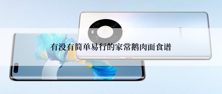 有没有简单易行的家常鹅肉面食谱