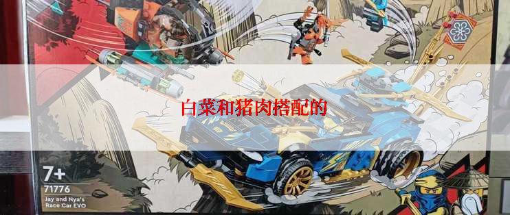 白菜和猪肉搭配的