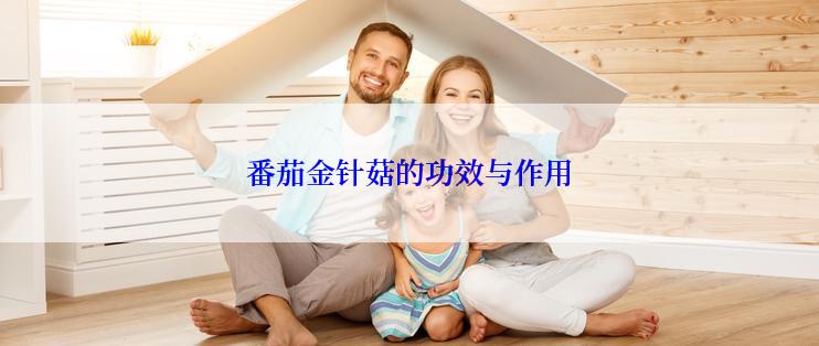 番茄金针菇的功效与作用