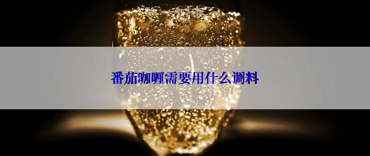 番茄咖喱需要用什么调料