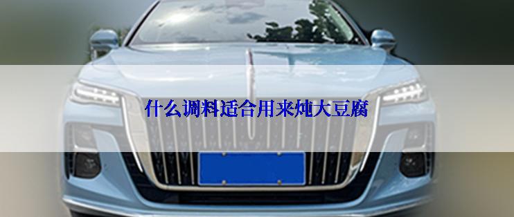 什么调料适合用来炖大豆腐