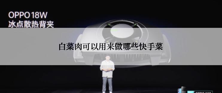 白菜肉可以用来做哪些快手菜