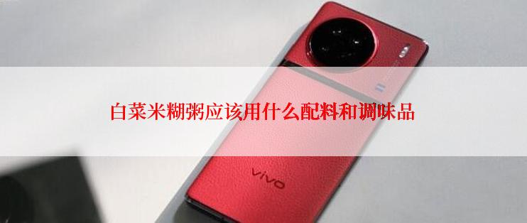 白菜米糊粥应该用什么配料和调味品
