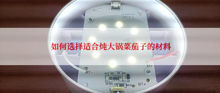 如何选择适合炖大锅菜茄子的材料