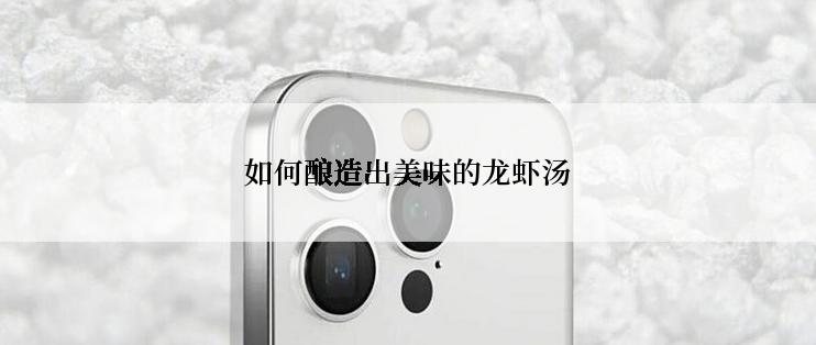 如何酿造出美味的龙虾汤