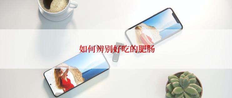  如何辨别好吃的肥肠