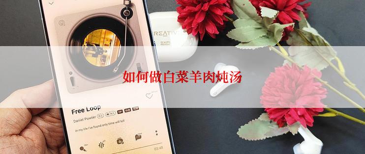 如何做白菜羊肉炖汤