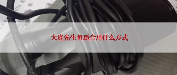  大连先生鱼适合用什么方式