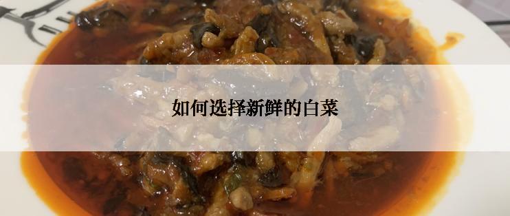 如何选择新鲜的白菜