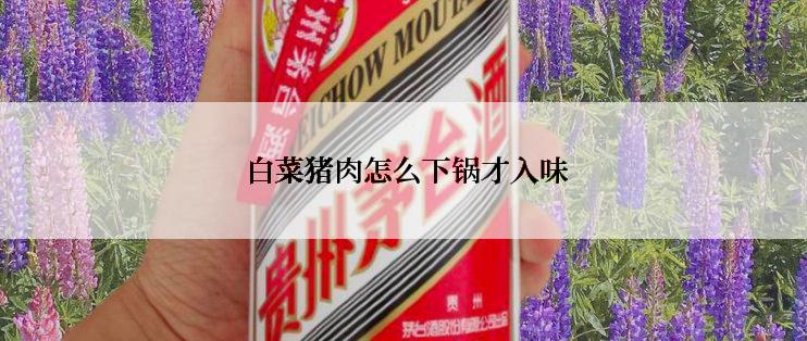  白菜猪肉怎么下锅才入味