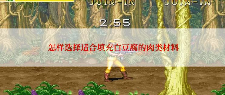  怎样选择适合填充白豆腐的肉类材料