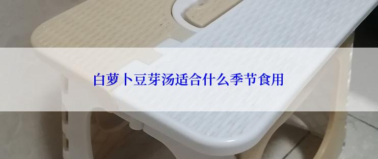 白萝卜豆芽汤适合什么季节食用