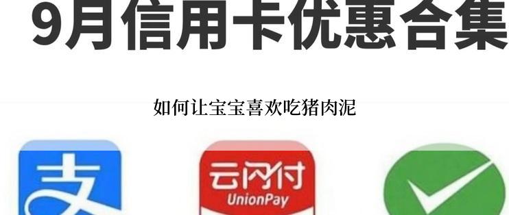 如何让宝宝喜欢吃猪肉泥